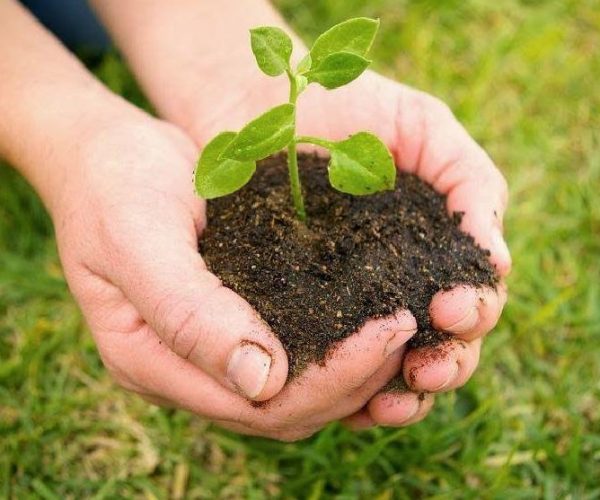 Consultoría Ambiental